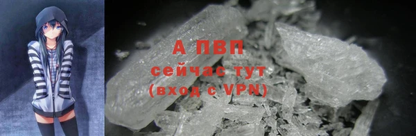 прущие крисы Тында